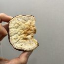 매머드익스프레스에이스하이테크시티점 이미지