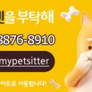 강아지를 부탁해(돌봄) 이미지