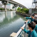 동천1 배수펌프장 이미지