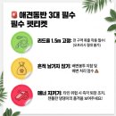 월드켄넬 | 2026 태안 튤립축제 애견동반 입장료 팩트체크 &amp; 안면도 펜션 예약 성공 리얼 후기 🐶🌷