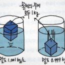산토리오