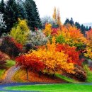 넘 멋진, 가을 풍경 수채화, 이미지
