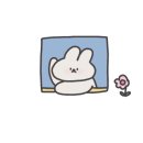 다이소굴화점