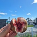 후포농장 이미지