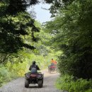 대유랜드입구 | 제주 서귀포 놀거리 대유랜드 ATV 올레코스 후기