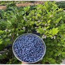 미래복지재가센터 이미지