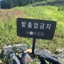 카페보리 이미지