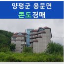 용문산콘도렉스 네이버블로그