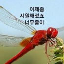 또다른 추억을 타고오는 가을 이미지