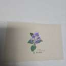 탄생화 | 🦋나비언니네 탄생화 파우치 diy 패키지 만들기 _이벤트 당첨후기