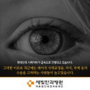 새빛안경콘택트 이미지