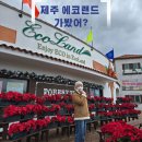 동백 숲속애견랜드 | 10월 제주도 가볼만한곳, 제주 에코랜드 시간 확인