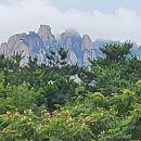학명 1-12 난치병 시조/반산 한상철 이미지