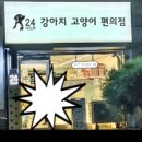 강아지고양이편의점분당 - 성남시 분당구 정자일로 25 | 강아지고양이편의점분당