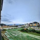 신엄중학교 이미지