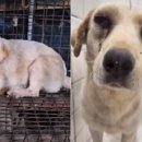 만연농장 이미지