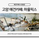 애견카페 제니콩콩 | 고양시 귀여운 애견카페 하울픽스 내돈내산 후기 (월요일은 중대형견만 15kg~)