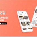 우주동물병원 이미지