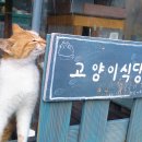 봄숲속모리 이미지