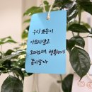 거창축협동물병원 | 광명동물병원 | 설사·응급·검진… “지금 어디로 가야 하지?” 그 순간에 필요한 이야기