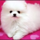 몽글몽글 이미지