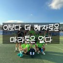 공설운동장 사거리 | 2025 단양 마라톤 10km 완주 후기