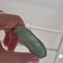다온뷰티헤어 | 익산 왁싱샵 추천 [다온뷰티] 헤어라인, 옆목, 뒷목 왁싱 후기