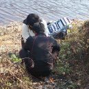 붕어의 신 이미지