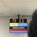 2013 | [허니문리조트] 그라나다-바르셀로나 부엘링 항공 VY2013 비행기 탑승후기