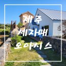자매피아노 | 숙소!! 뷰맛집 숙소!! 돌아기와 함께 제주도 숙소 추천!! 독채 펜션 제주 세자매 오아시스 솔직 후기!!