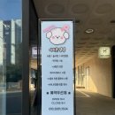 이리온 댕댕 이미지