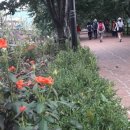 석계역 4번출구 이미지