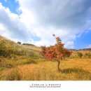 평원목장 이미지