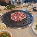 낙동생오리 이미지