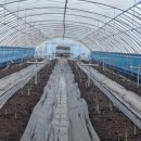 경천 농장 이미지