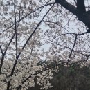 앞산 | [앞산 카페]아눅 앞산 후기!