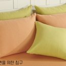 나산집 네이버블로그