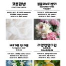 센트럽잇 - 광양시 중마용소길 54 | 센트럽잇