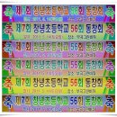 창녕초등학교 Daum카페