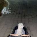 천풍동물병원 이미지