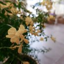 스튜디오넬리 이미지