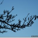 조개까는 세상 이미지