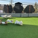 중원유치원 이미지