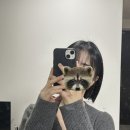 영신어린이집 | 천안 미용실 추천 &#39;하월헤어 두정역점&#39; 머리맛집은 바로 여기 내돈내산 솔직후기
