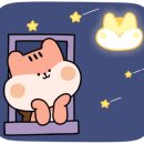 테바작은도서관 이미지