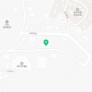 더밤비평택 | 꼬질→뽀송→애교 폭발 8개월 꼬똥 밤비 미용 후기 (2cm 스포팅 + 얼굴컷)