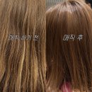 서인 | 야탑역 볼륨매직 잘하는 미용실 &#39;아일로헤어&#39; 서인 디자이너 후기