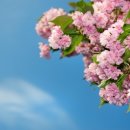 경희허준한의원 이미지