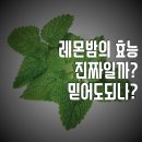 나르샤식품