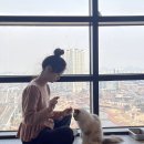 테이블에이 이미지